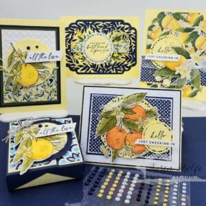 Mediterranean Blooms — 4 Card + Gift Box Tutorial Collection | Stampin' Up! Citrus Blooms Bundle