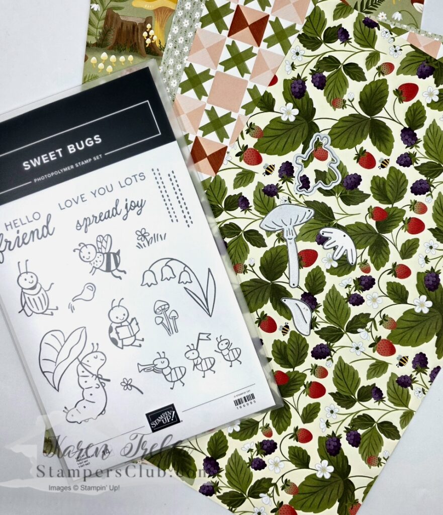 Sweet Bugs photopolymer stamp set with coordinating dies and Cute as a Bug designer paper sheets in strawberry berry print and quilted diamond pattern by Stampin' Up